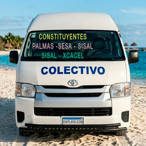 Foto de la ruta Constituyentes Palmas 1 SESA SISAL XCACEL